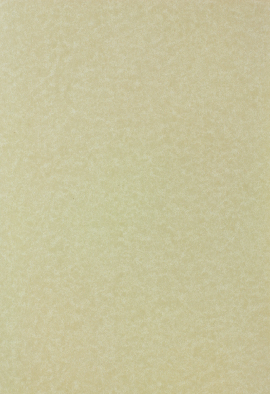 Natural Beige Parchment Paper 90gsm WL Coller Ltd