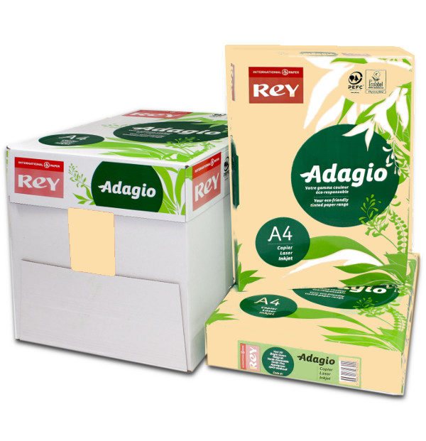 Adagio A4 Salmon Box Ream