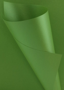 Pearlescent Green Paper 120gsm