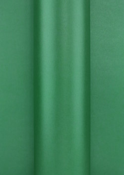 Pearlescent Eemerald Green 270gsm Card