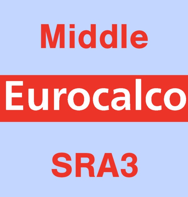 Eurocalco Carbonless Blue SRA3 Middle Sheet