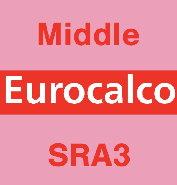 Eurocalco Carbonless Pink SRA3 Middle Sheet