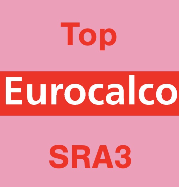 Eurocalco Carbonless Pink SRA3 Top Sheet