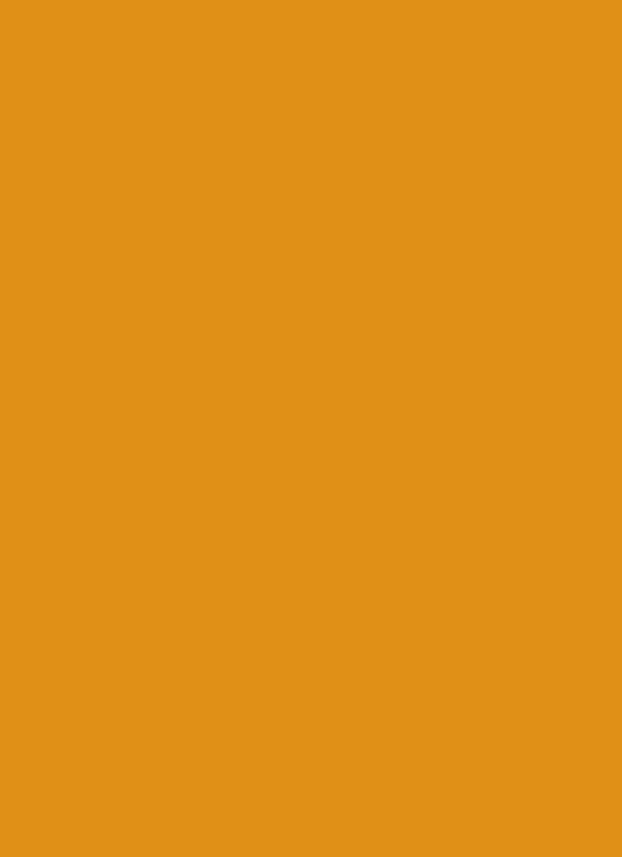 Trophee Flame Orange