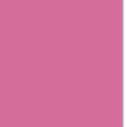 Trophee Intensive Pink