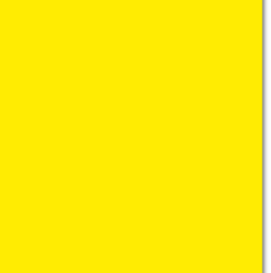 Trophee Intensive Yellow