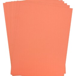 Vanguard Salmon Card