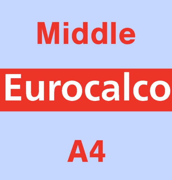 Eurocalco Carbonless Blue A4 Middle Sheet