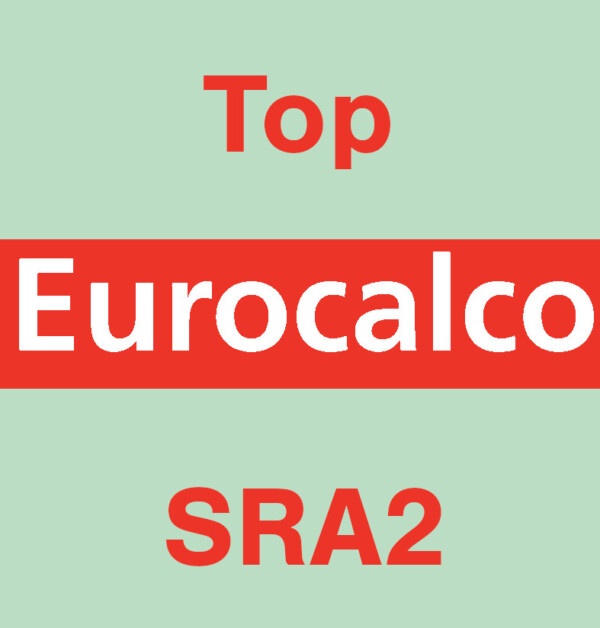 Eurocalco Carbonless Green SRA2 Top Sheet