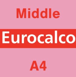 Eurocalco Carbonless Pink A4 Middle Sheet