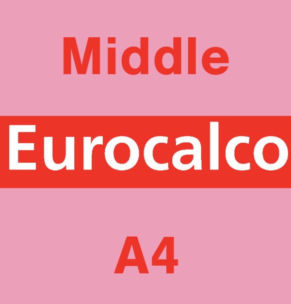 Eurocalco Carbonless Pink A4 Middle Sheet