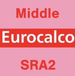 Eurocalco Carbonless Pink SRA2 Middle Sheet