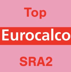 Eurocalco Carbonless Pink SRA2 Top Sheet