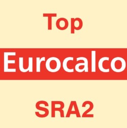 Eurocalco Carbonless Yellow SRA2 Top Sheet