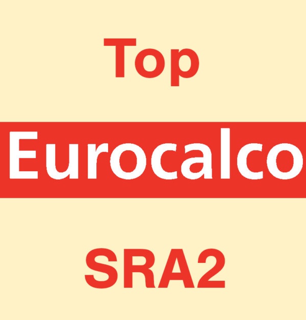 Eurocalco Carbonless Yellow SRA2 Top Sheet
